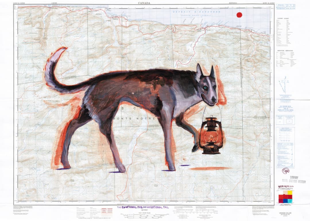 canadian art, graham robinson, artwork, fine art, artisan, painting, husky, dog, siberian, wisdom, jonathan haidt, lantern, vintage map, map of canada, painting on map, work on paper,