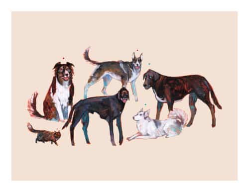 canadian art, graham robinson, artwork, fine art, artisan, painting, drawing, dog, pet portrait, siberian, husky, labrador, black lab, mixed breed dog, cat, dog pack,, animal art,